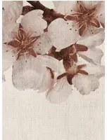 Coordonne Wandbild Big Random Flora - Pink