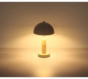 Globo 24868B - Lampada da tavolo JANIE 1xE14/40W/230V