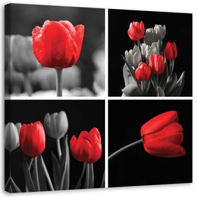 Quadro su tela, Set di tulipani rossi  Dimensioni 40x40