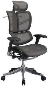 Sedia Ufficio Ergonomica Clp Norfolk: Comfort E Stile İn Ununica Soluzione / Grau
