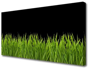 Quadro su tela Natura dell'erba verde 100x50 cm