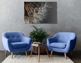 Quadro su tela – Bellezza del soffione