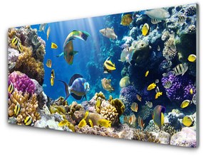 Quadro acrilico Natura della barriera corallina 100x50 cm