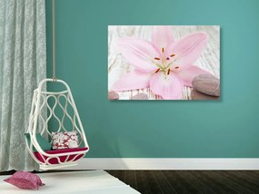Stampa su tela – Giglio rosa e pietre zen