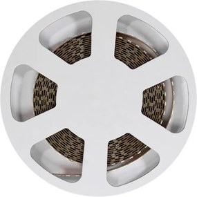Striscia LED 24V 144W/m CRI>97 TRUE COLOR Professionale - IP20 - 5 metri