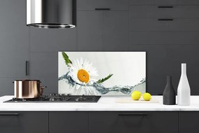 Pannello cucina paraschizzi Margherita in acqua Pianta 100x50 cm