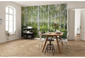 Fotomurale KOMAR Sunny day, Multicolore 368X254 cm