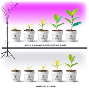 Brilagi-Lampada da terra dimmerabile a LED per la coltivazione di piante VITABLOOM 4xLED/7,5W/230V