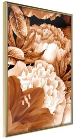 Poster  Peonies in Sepia  Cornice Quadri Cornice d'oro, Larghezza x Altezza Home decor 20x30