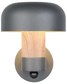 Illuminazione esterna con sensore di movimento da parete (altezza totale 24,5 cm) Fraser – Trio