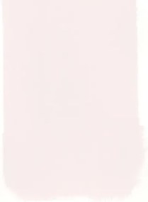 Designers Guild Perfect Matt Emulsion - Palest Pink 133 - 2,5l