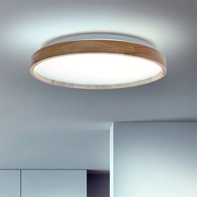 Brilagi - Plafoniera dimmerabile a LED ALSON LED/48W/230V 3000-6500K + telecomando