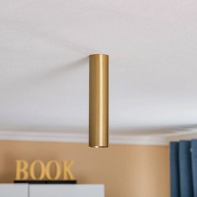 Nowodvorski Lighting Faretto da soffitto Eye, altezza 25 cm, ottone