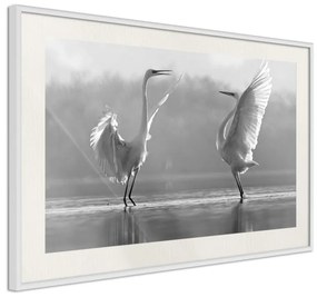 Poster  Black and White Herons  Cornice Quadri Cornice nera con pass-partout, Larghezza x Altezza Home decor 30x20