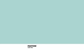 Copripiumino Pantone Calm Sea (Letto da 135) (220 x 220 cm)