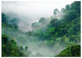 Fotomurale adesivo Morning Fog