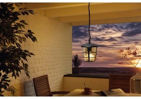 Eglo 93406 - Lampadario LED da esterno ALORIA 1xE27/8,5W/230V IP44