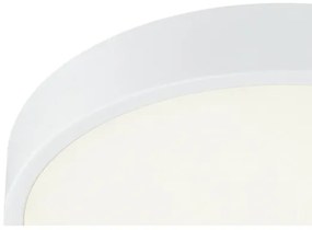 Globo 12364-30 - Lampada da bagno LED dimmerabile LED/28W/230V IP44