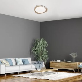 Rabalux 2427 - Plafoniera da soffitto TAMINO LED/24W/230V