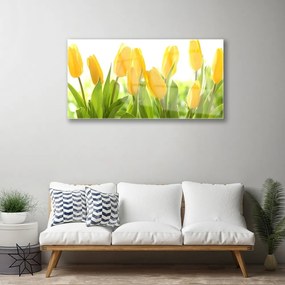 Quadro su vetro acrilico Tulipani, fiori, piante 100x50 cm