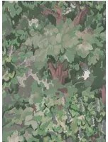 Coordonne Carta da parati Foret - Spring