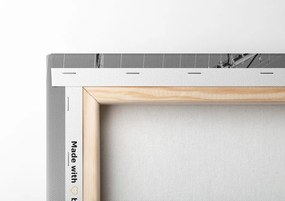 Stampa su tela – Ponte di Manhattan a New York in bianco e nero