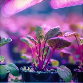 Lampada da tavolo flessibile con clip PLANTY 1xE27/30W/230V nero