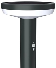 Paletto da giardino Solare Nero 80cm con Sensore Movimento e Picchetto Colore Bianco Naturale 4.000K