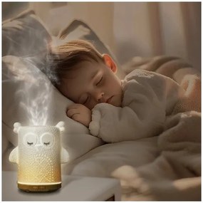 LED RGBW Diffusore di aromi LED/8W/230V 100 ml gufo
