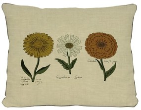 Cuscino beige con motivo floreale Fiori, 50 x 35 cm - Surdic