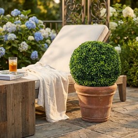 Sfera di bosso artificiale