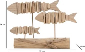 Pesci Nature Cm 37X10X24