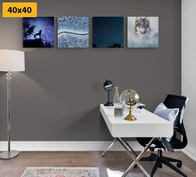 Set di quadri – Lupo solitario
