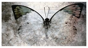Stampa su tela Glitter Wow Butterfly, multicolore 145 x 75 cm