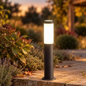 BRILAGI-LED ELIA lampada da esterno dimmerabile 1xE27/6W/230V 2700-6500K IP44 50 cm antracite