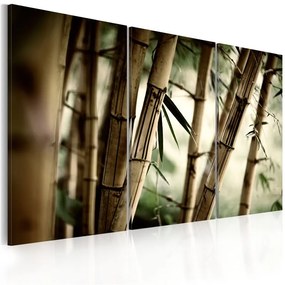 Quadro Nella foresta tropicale