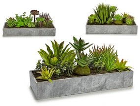 Pianta Decorativa Succulenta Plastica Cemento 10 x 14,5 x 30,5 cm (12 Unità)