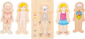 Puzzle di legno - Anatomia della ragazza Emma