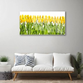 Quadro su vetro acrilico Tulipani, fiori, natura 100x50 cm