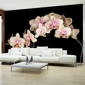 Fotomurale Orchidea in fiore