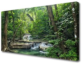 Quadro su tela Foresta Foresta Natura Natura 100x50 cm