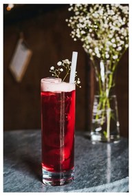 Set di 6 cannucce in vetro bianco per bere, lunghezza 20 cm - Vialli Design