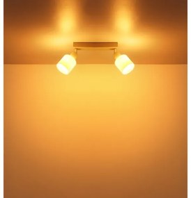 Globo 54114-2 - Faretto TRENT 2xE14/25W/230V