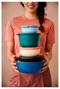 Scatole per alimenti in set da 3 Nordic sage - Mepal