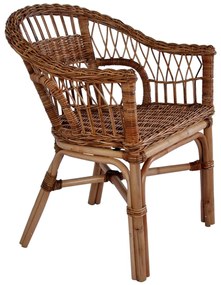 Sedia da Esterno in Rattan Naturale Marrone