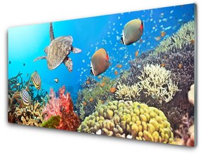 Pannello retrocucina Paesaggio della barriera corallina 100x50 cm