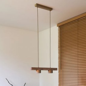 Duolla - Lampadario a sospensione con cavo IRONLINE 2xGX53/3W/230V pino/rovere/beige