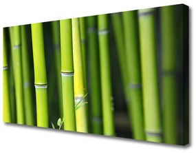 Quadro su tela Pianta della natura di bambù 100x50 cm