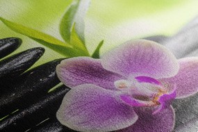 Stampa su tela – Composizione Zen meditativa
