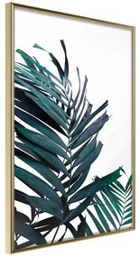 Poster Evergreen Palm Leaves  Cornice Quadri Cornice d'oro, Larghezza x Altezza Home decor 20x30